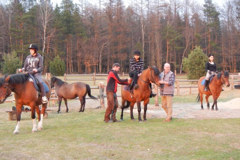 Na Wysokiej Gorce- Agroturystyka Grabowiec  Dış mekan fotoğraf