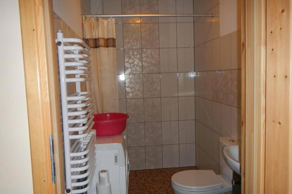 Na Wysokiej Gorce- Agroturystyka Grabowiec  Dış mekan fotoğraf